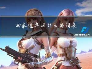 回家过年用什么诗词来形容