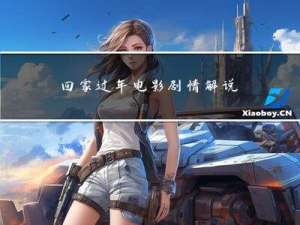 回家过年电影剧情解说文案