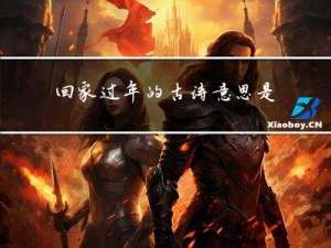 回家过年的古诗意思是