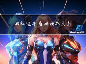 回家过年看妈妈作文怎么写
