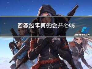 回家过年真的会开心吗作文
