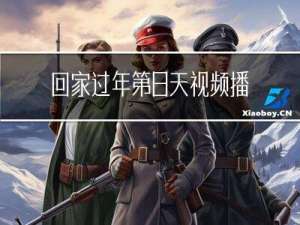 回家过年第8天视频播放