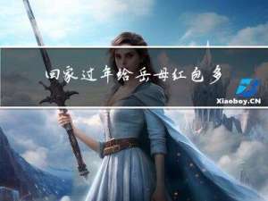 回家过年给岳母红包多少