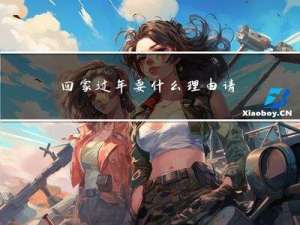回家过年要什么理由请客