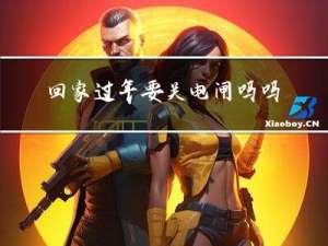 回家过年要关电闸吗吗