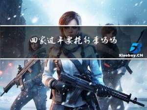 回家过年要提行李吗吗