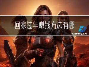 回家过年赚钱方法有哪些