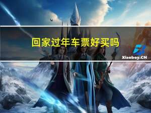 回家过年车票好买吗