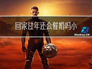 回家过年还会催婚吗小说