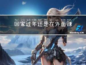 回家过年还是在外面赚钱