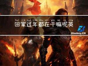 回家过年都在干嘛呢英语