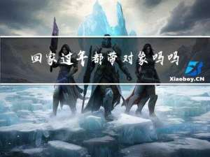 回家过年都带对象吗吗