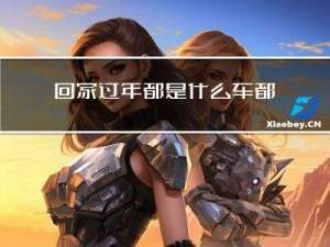 回家过年都是什么车都有