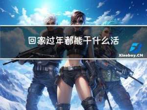 回家过年都能干什么活
