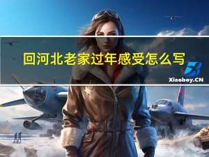 回河北老家过年感受怎么写