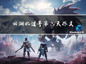 回湖北过年第六天作文