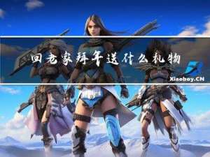 回老家拜年送什么礼物合适