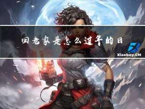 回老家是怎么过年的日记