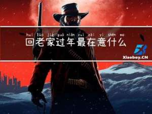回老家过年最在意什么问题