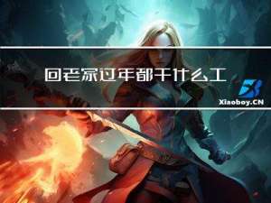 回老家过年都干什么工作