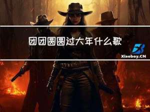 团团圆圆过大年什么歌曲