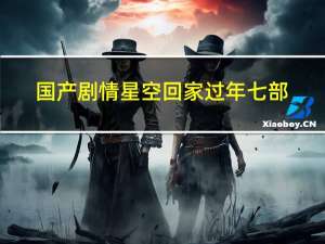 国产剧情星空回家过年七部