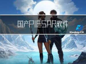 国产PIE-SAR软件