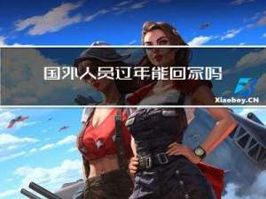 国外人员过年能回家吗