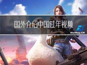 国外介绍中国过年视频短片