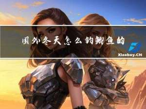 国外冬天怎么钓鲫鱼的