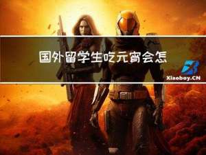 国外留学生吃元宵会怎么样