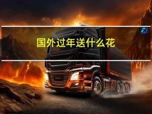 国外过年送什么花
