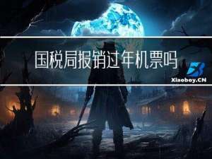 国税局报销过年机票吗