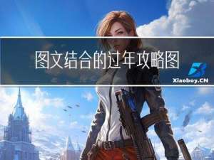 图文结合的过年攻略图片