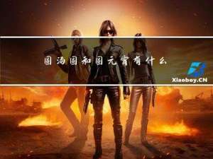 圆汤圆和圆元宵有什么不同