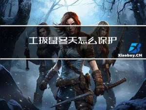 土拨鼠冬天怎么保护