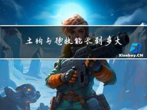 土狗与德牧能长到多大年纪