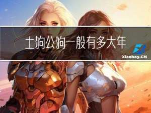 土狗公狗一般有多大年龄