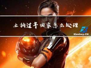 土狗过年回家怎么处理狗窝