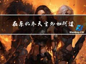 在东北冬天室外如何过冬