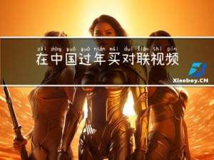 在中国过年买对联视频讲解