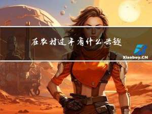 在农村过年有什么兴趣活动