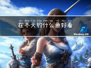 在冬天钓什么鱼好看