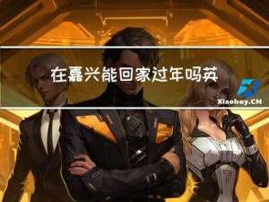 在嘉兴能回家过年吗英文