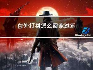 在外打拼怎么回家过年呢