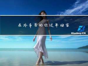 在外辛苦的你过年回家吗