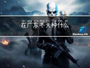 在广东冬天种什么