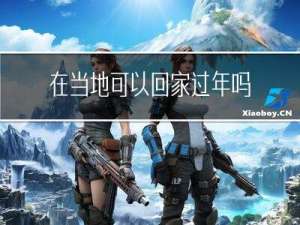 在当地可以回家过年吗英文