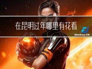 在昆明过年哪里有花看