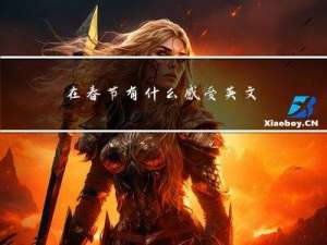 在春节有什么感受英文作文